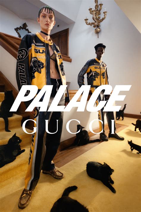 gucci palace collaboration|palace gucci collection.